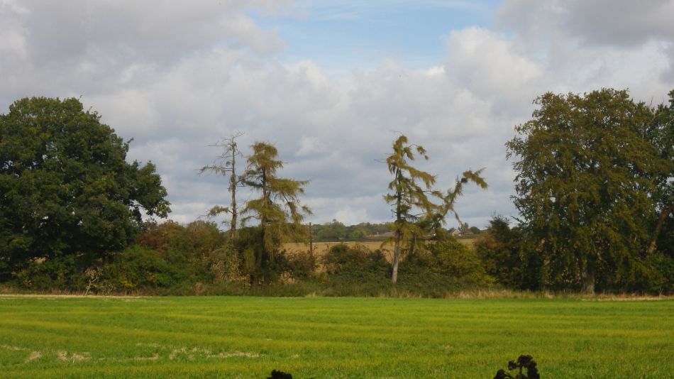 2018-10-02 08 Ditchingham and Broome.jpg