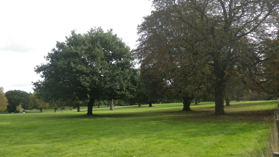 2018-10-02 09 Ditchingham and Broome.jpg