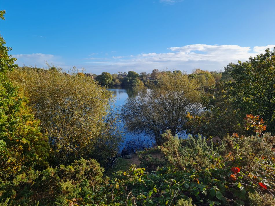 2023-11-09 01 Ditchingham and Broome.jpg