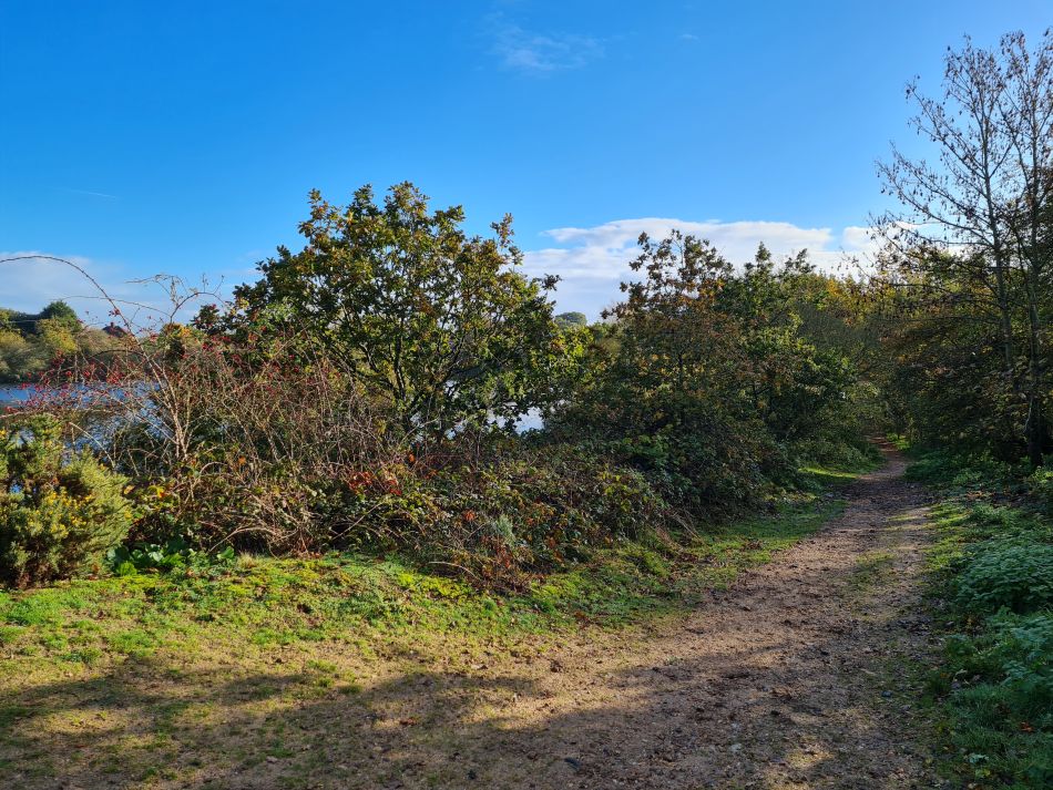 2023-11-09 02 Ditchingham and Broome.jpg