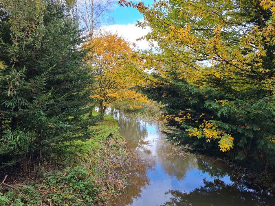 2023-11-09 06 Ditchingham and Broome.jpg