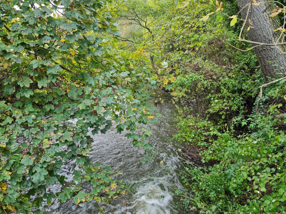 2023-11-09 07 Ditchingham and Broome.jpg