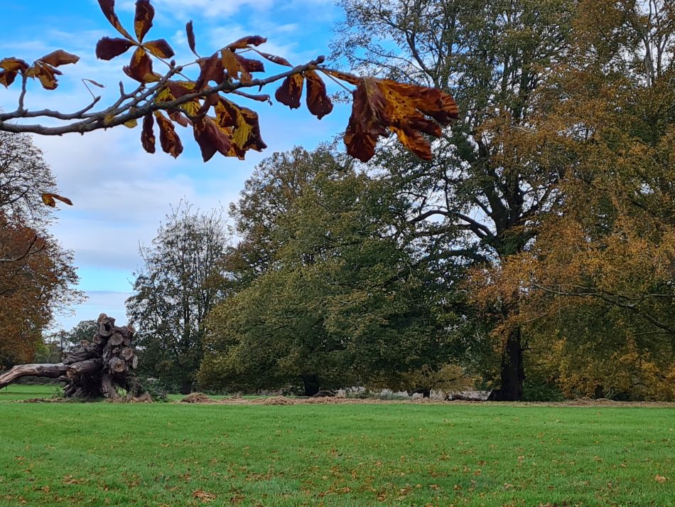 2023-11-09 09 Ditchingham and Broome.jpg