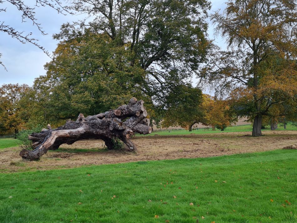 2023-11-09 10 Ditchingham and Broome.jpg