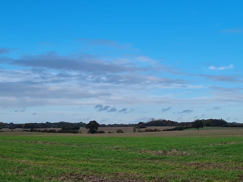 2023-11-09 18 Ditchingham and Broome.jpg