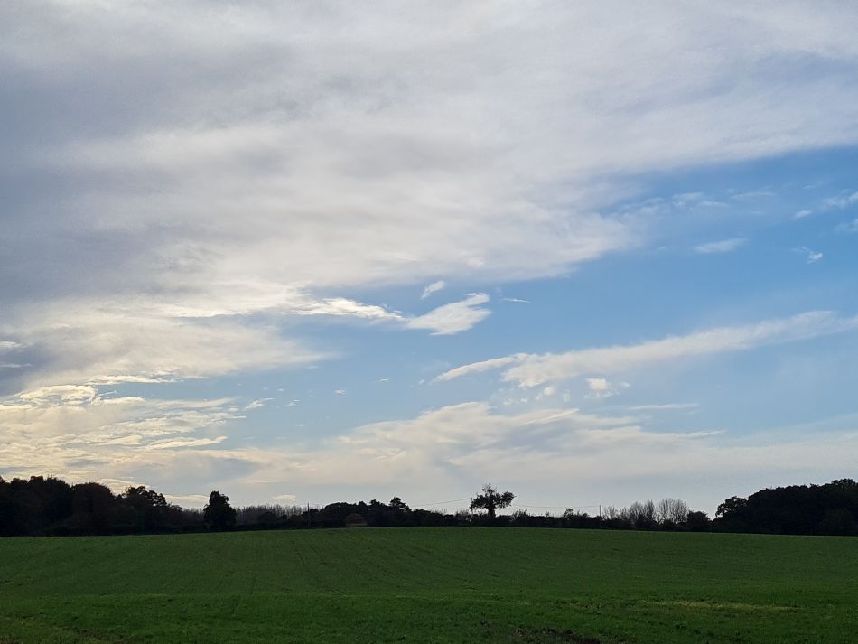 2023-11-09 19 Ditchingham and Broome.jpg