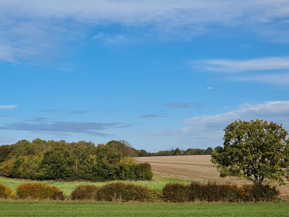 2023-11-09 20 Ditchingham and Broome.jpg