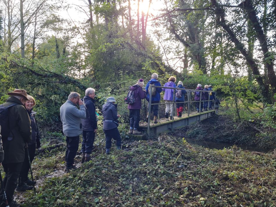 2023-11-09 22 Ditchingham and Broome.jpg