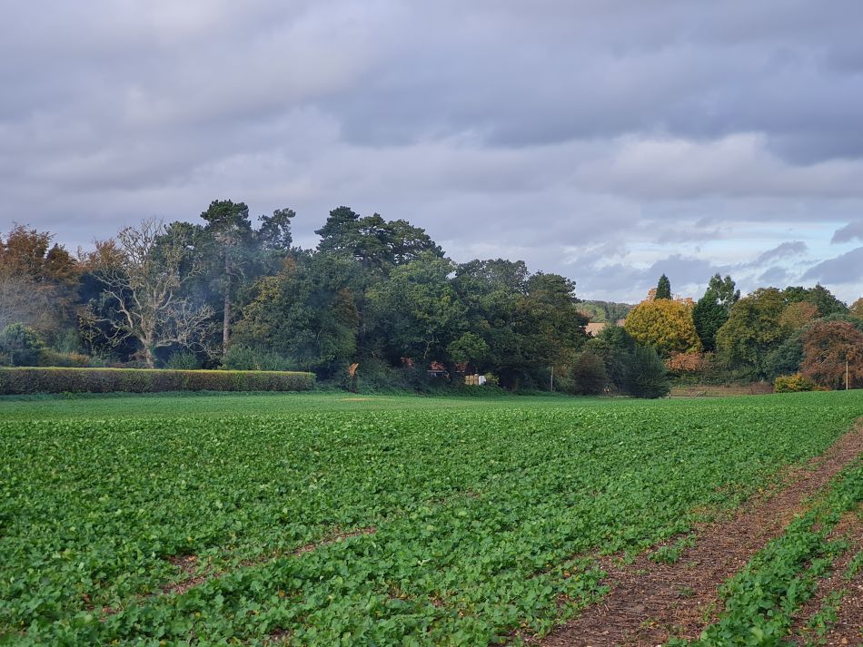 2023-11-09 24 Ditchingham and Broome.jpg