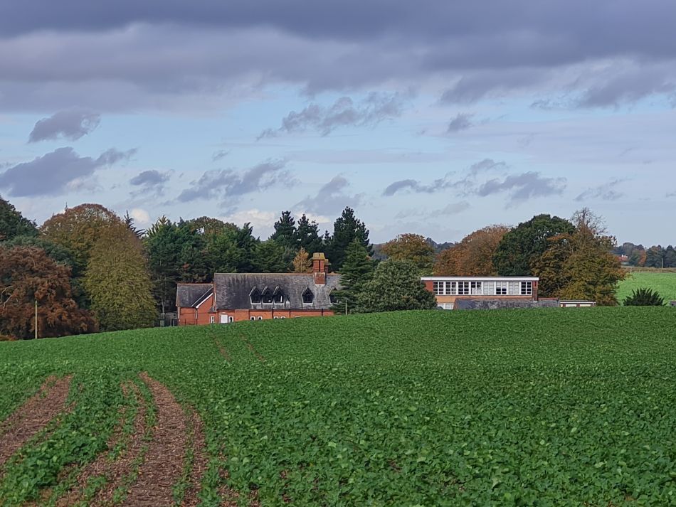 2023-11-09 25 Ditchingham and Broome.jpg