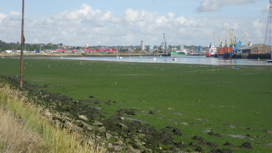 2020-09-07 21 Orwell Bridge.jpg