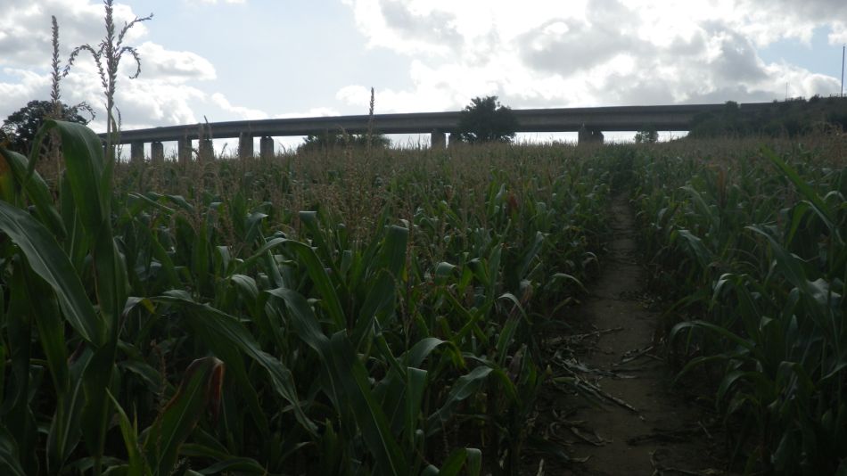 2020-09-07 25 Orwell Bridge.jpg