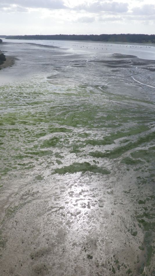 2020-09-07 37 Orwell Bridge.jpg