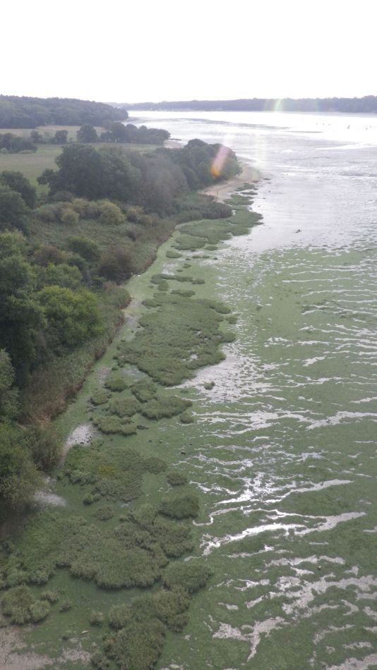 2020-09-07 38 Orwell Bridge.jpg