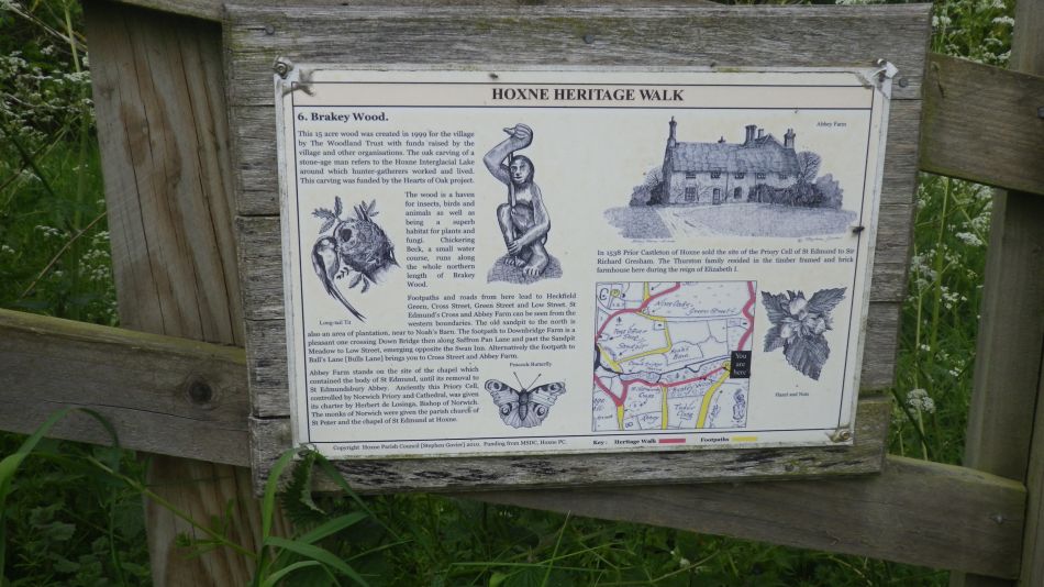 2020-05-14 04 Brakey Wood.jpg