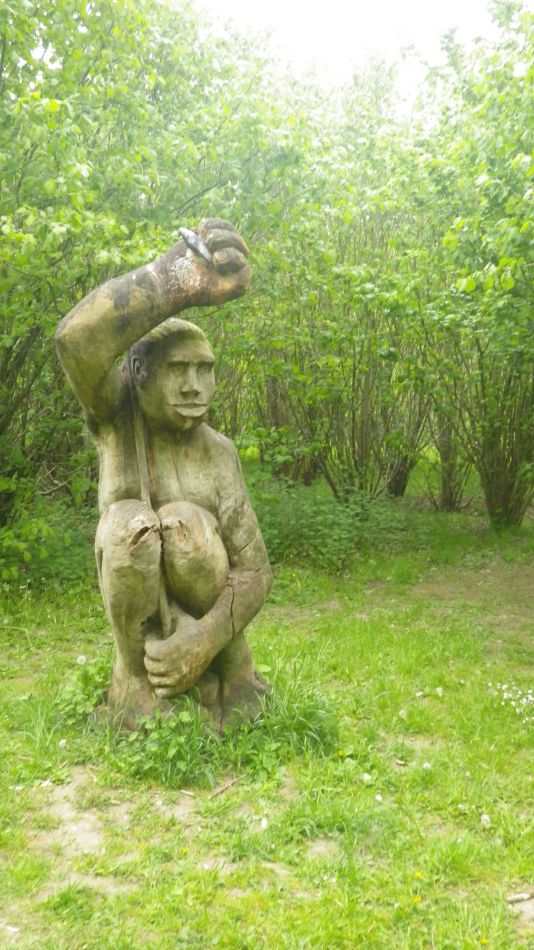 2020-05-14 05 Brakey Wood.jpg