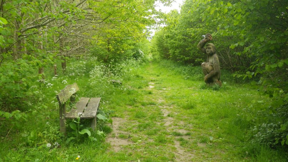 2020-05-14 06 Brakey Wood.jpg