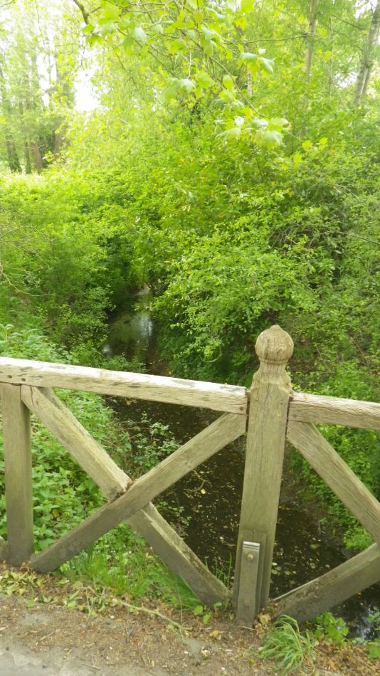 2020-05-14 16 Goldbrook Bridge.jpg