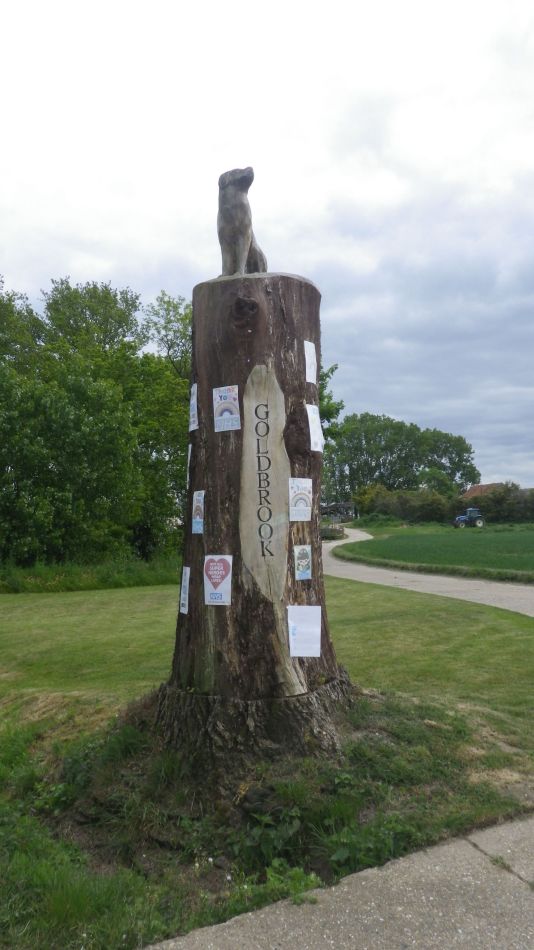 2020-05-15 11 Hoxne and South Green.jpg