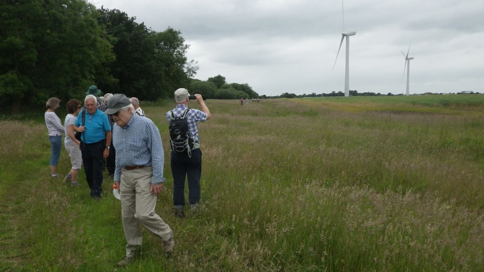 2016-06-22 01 The Triple Plea.jpg