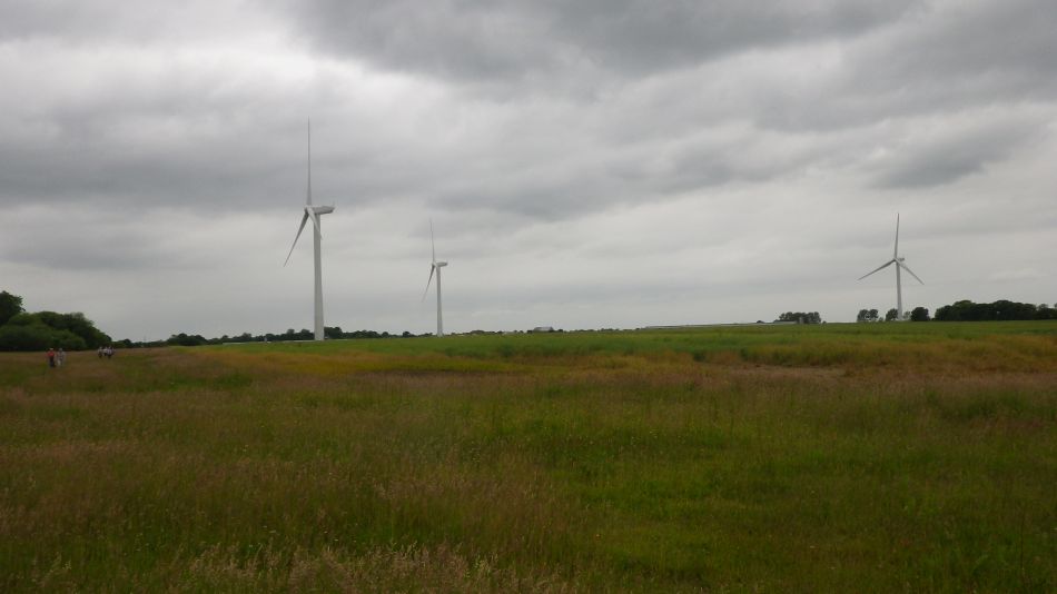 2016-06-22 02 The Triple Plea.jpg