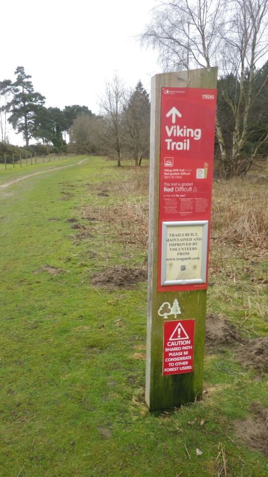 2017-02-26 04 Tunstall Forest and Viking Trail.jpg