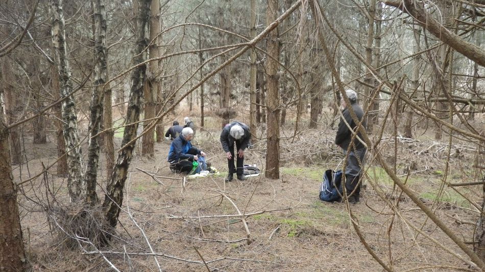 2017-02-26 08 Tunstall Forest and Viking Trail.jpg