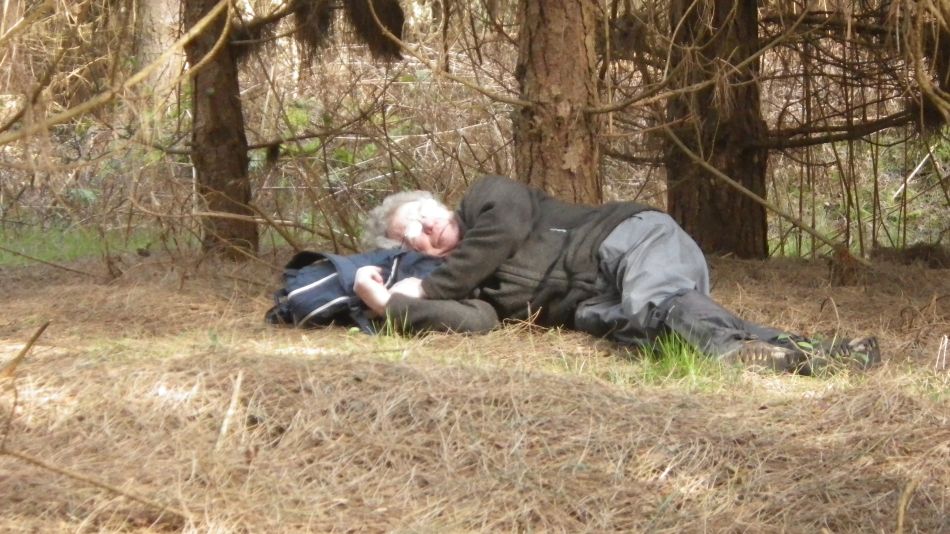 2017-02-26 09 Tunstall Forest and Viking Trail.jpg