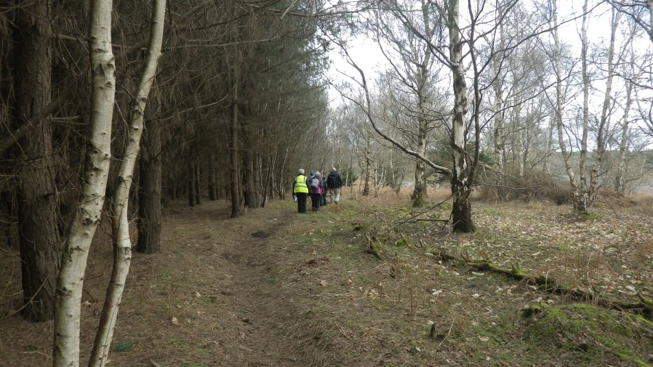 2017-02-26 16 Tunstall Forest and Viking Trail.jpg