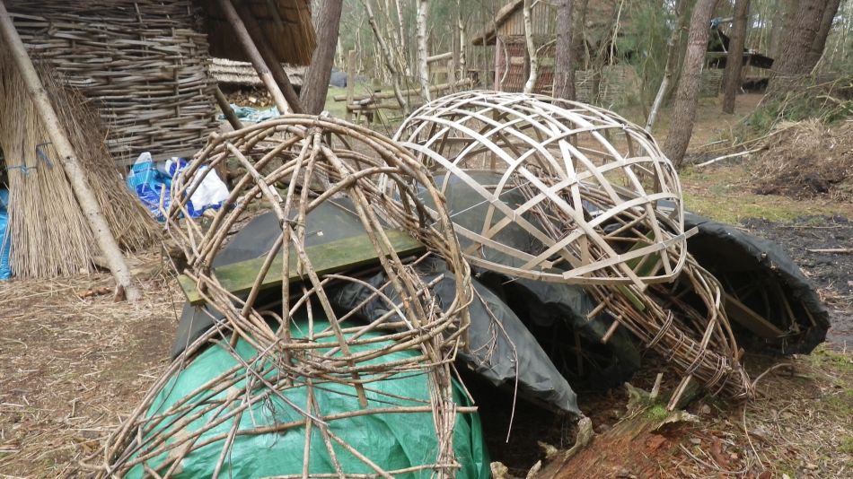 2017-02-26 19 Tunstall Forest and Viking Trail.jpg