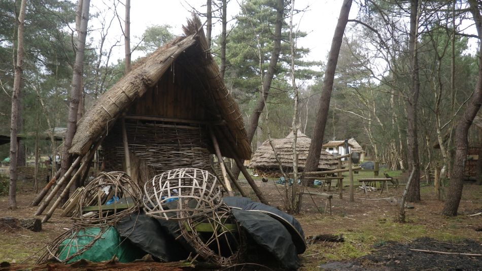 2017-02-26 20 Tunstall Forest and Viking Trail.jpg