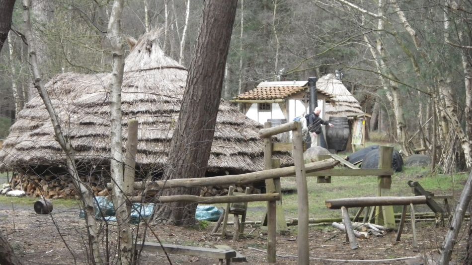 2017-02-26 21 Tunstall Forest and Viking Trail.jpg