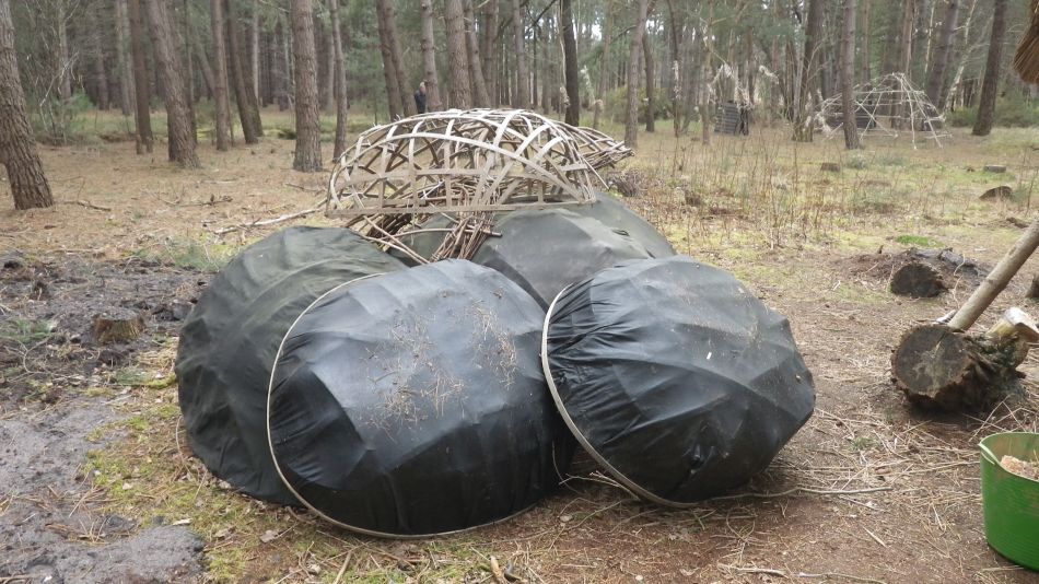 2017-02-26 22 Tunstall Forest and Viking Trail.jpg