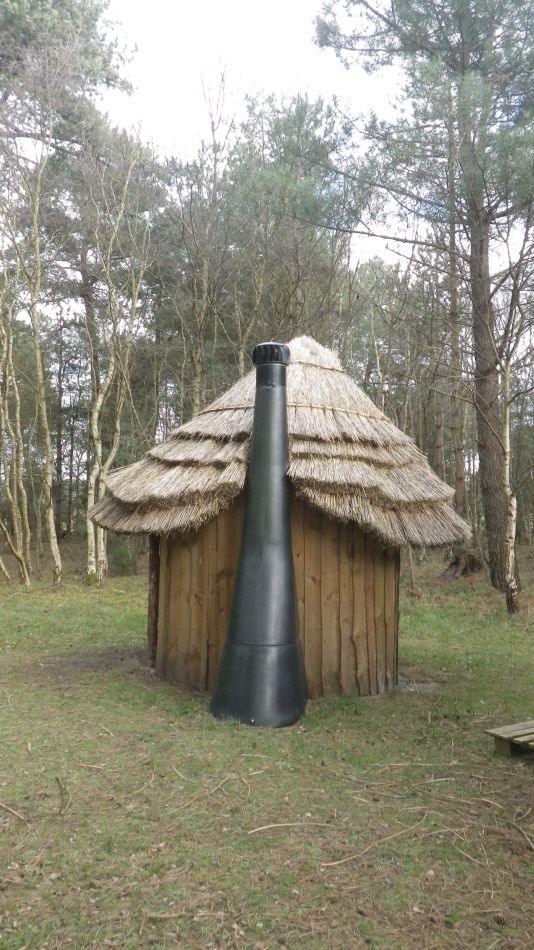 2017-02-26 27 Tunstall Forest and Viking Trail.jpg