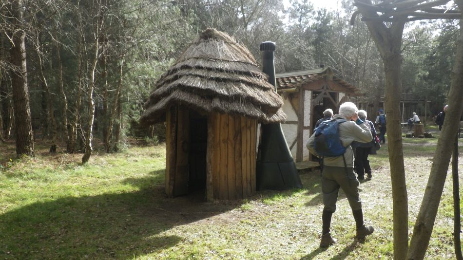 2017-02-26 29 Tunstall Forest and Viking Trail.jpg