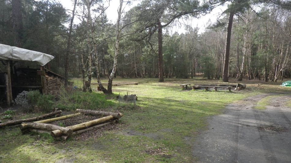 2017-02-26 30 Tunstall Forest and Viking Trail.jpg