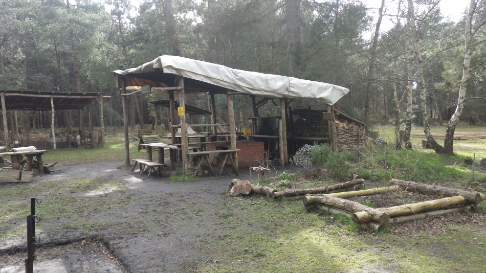 2017-02-26 31 Tunstall Forest and Viking Trail.jpg