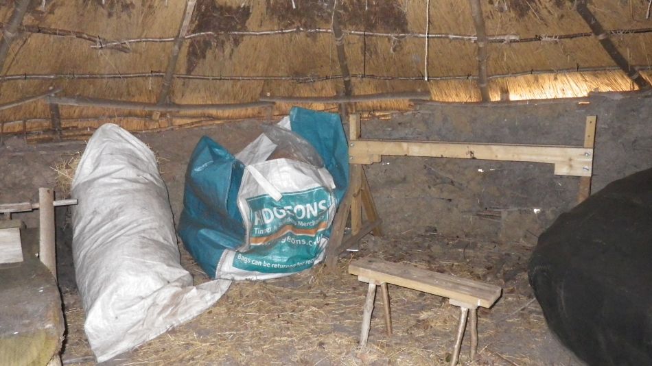 2017-02-26 33 Tunstall Forest and Viking Trail.jpg