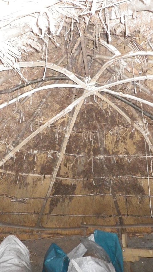 2017-02-26 34 Tunstall Forest and Viking Trail.jpg