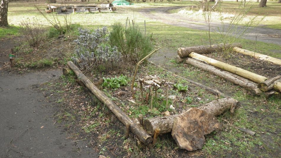 2017-02-26 38 Tunstall Forest and Viking Trail.jpg