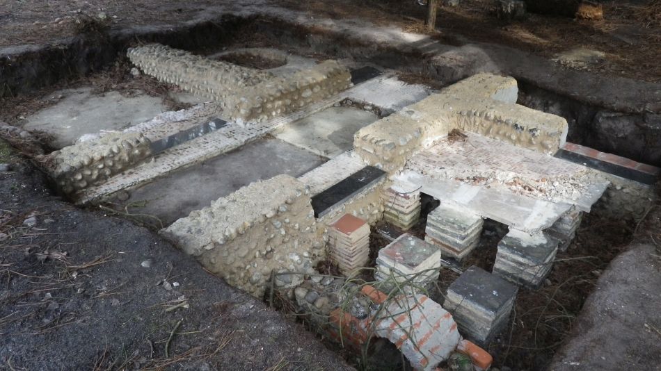 2017-02-26 41 Tunstall Forest and Viking Trail.jpg