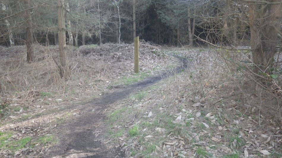 2017-02-26 43 Tunstall Forest and Viking Trail.jpg