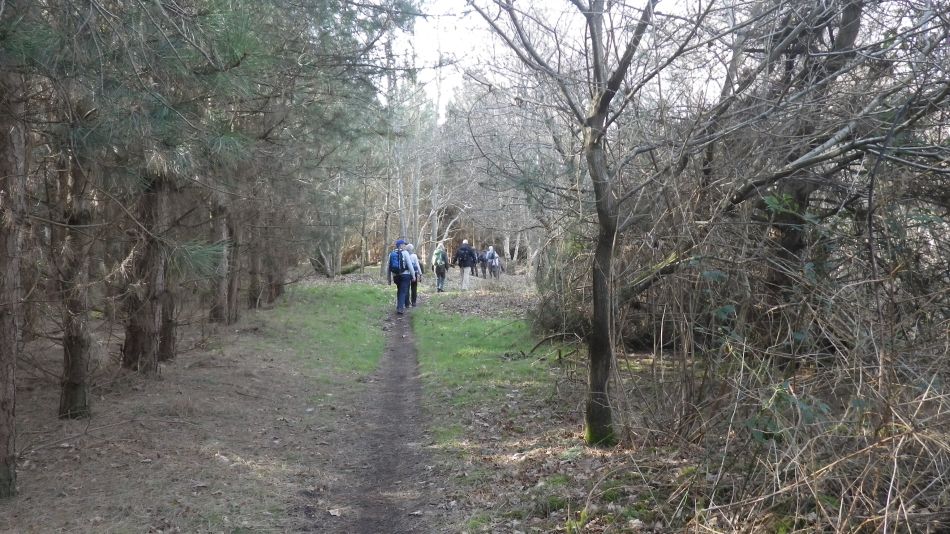 2017-02-26 44 Tunstall Forest and Viking Trail.jpg