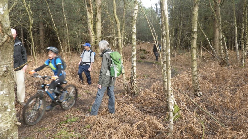 2017-02-26 45 Tunstall Forest and Viking Trail.jpg