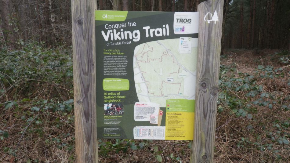 2017-02-26 47 Tunstall Forest and Viking Trail.jpg