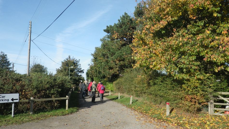 2016-11-02 02 Knodishall Common Sandlings Way and Hundred River Area.jpg