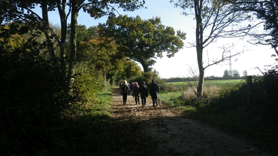 2016-11-02 03 Knodishall Common Sandlings Way and Hundred River Area.jpg