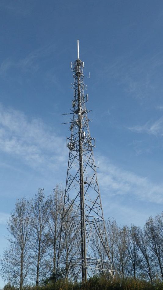 2016-11-02 04 Knodishall Common Sandlings Way and Hundred River Area.jpg