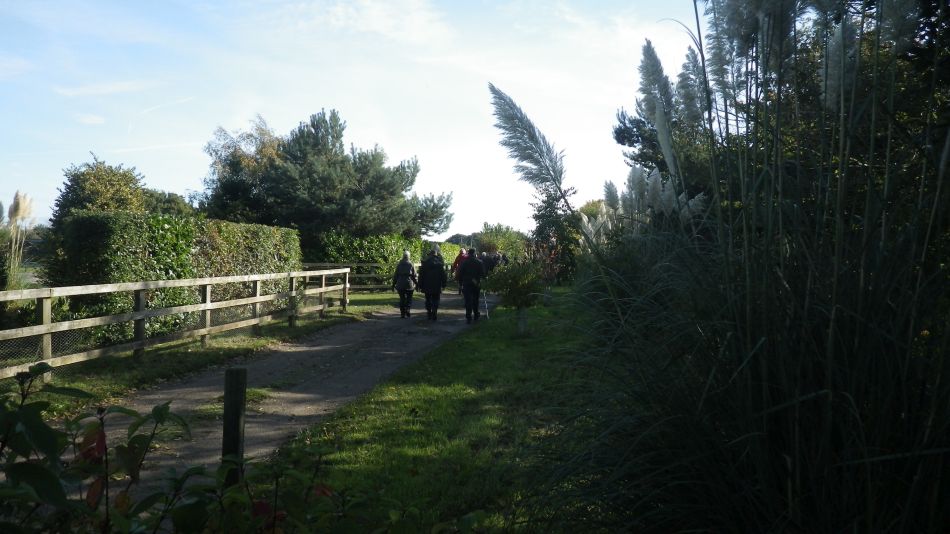 2016-11-02 05 Knodishall Common Sandlings Way and Hundred River Area.jpg