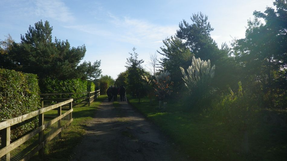 2016-11-02 06 Knodishall Common Sandlings Way and Hundred River Area.jpg